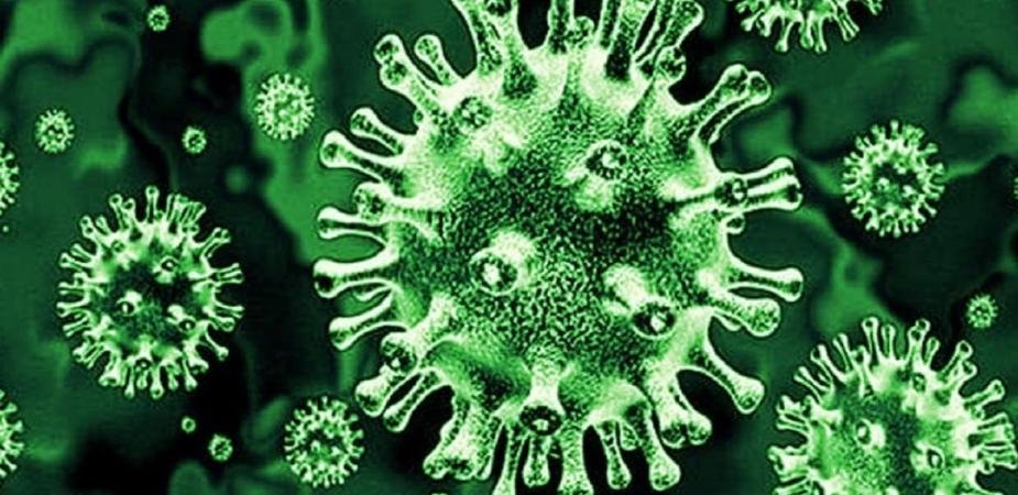 green fungus new case found